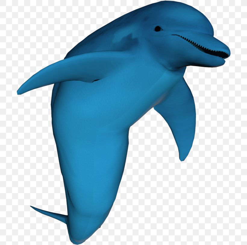 Whale Cartoon, PNG, 712x812px, Shortbeaked Common Dolphin, Amazon River Dolphin, Animal Figure, Blue Whale, Bottlenose Dolphin Download Free