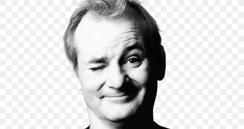 Bill Murray Garfield: The Movie Baloo Actor Film, PNG, 1500x794px, Bill Murray, Abstract Art, Actor, Baloo, Black And White Download Free