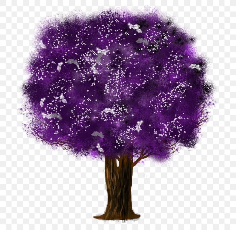 Branch Shrub Sweet Osmanthus Syringa Reticulata Tree, PNG, 800x800px, Branch, Bonsai, Common Lilac, Devilwood, Evergreen Download Free