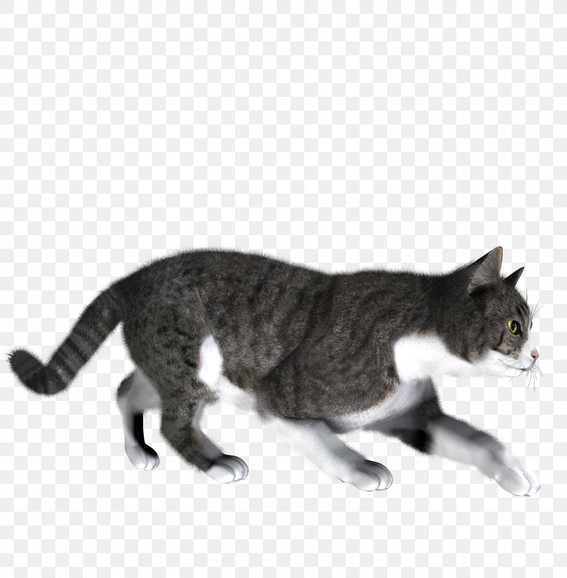 Cat Dog, PNG, 1490x1520px, Siamese Cat, American Wirehair, Black Cat, California Spangled, Carnivoran Download Free