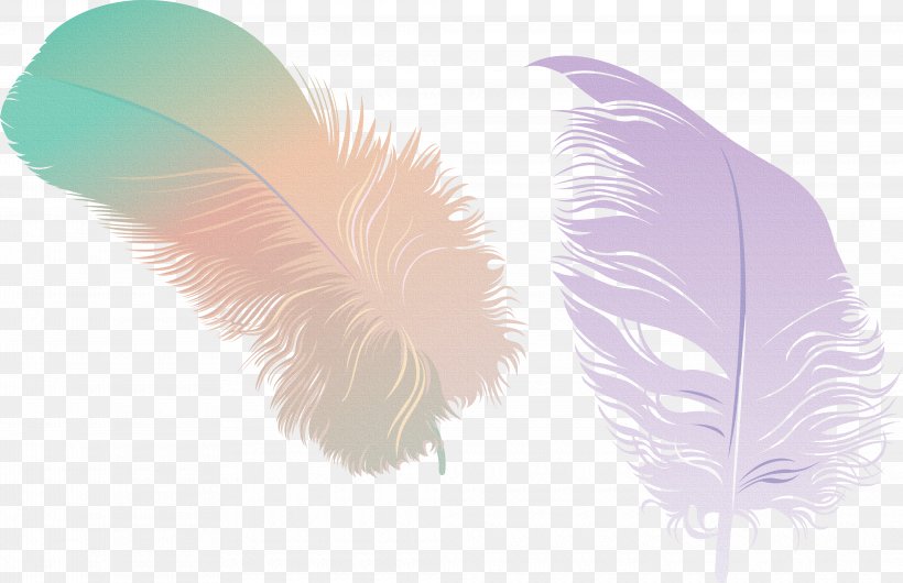 Feather, PNG, 4150x2683px, Feather, Designer, Lilac, Net, Purple Download Free