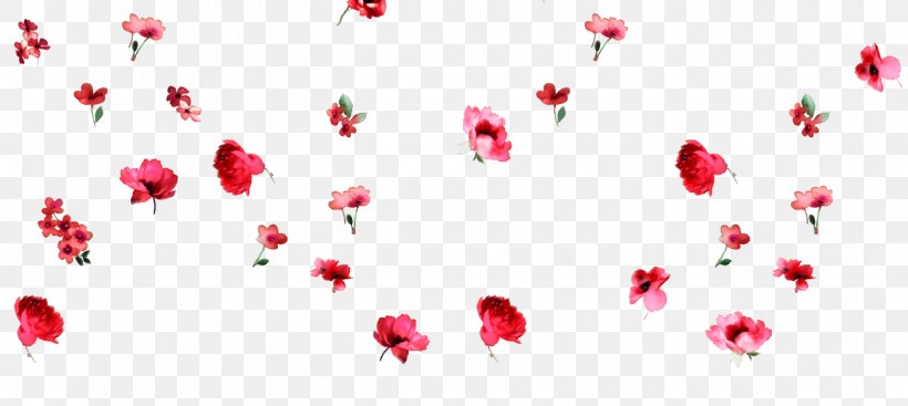 Petal Flower Valentine's Day Love Floral Design, PNG, 1300x582px, Petal, Blossom, Branch, Closeup, Computer Download Free