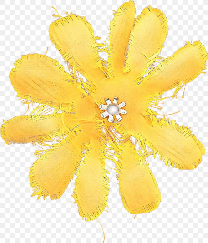 Yellow Flower Plant Petal Fashion Accessory, PNG, 1113x1303px, Cartoon, Fashion Accessory, Flower, Petal, Plant Download Free