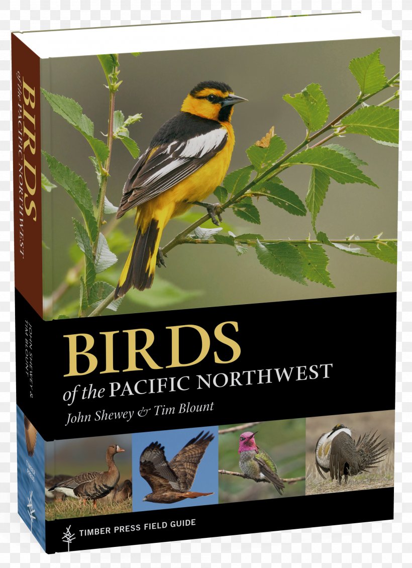 Birds Of The Pacific Northwest: Timber Press Field Guide Fly Fishing For Summer Steelhead, PNG, 1914x2639px, Bird, Advertising, Beak, Bird Food, Birdwatching Download Free