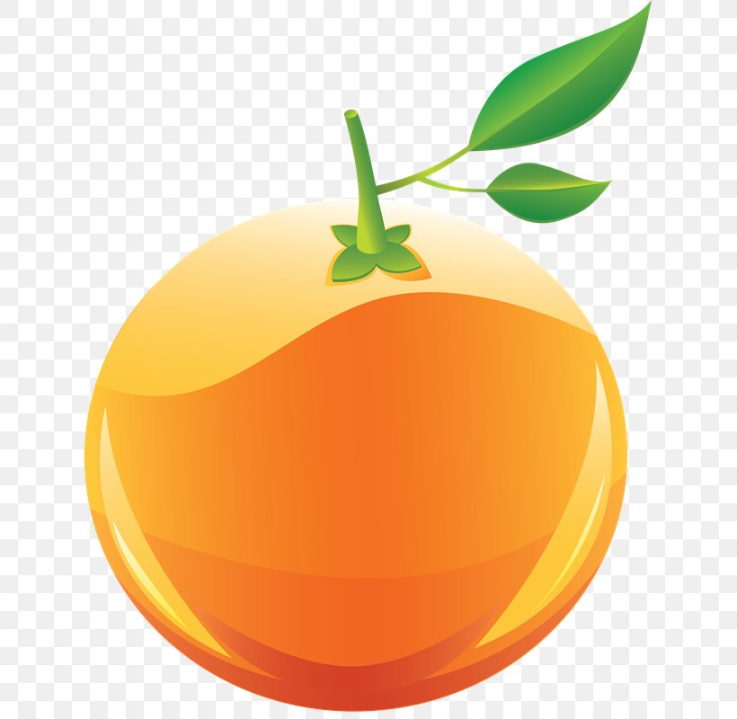 Orange Fruit Clip Art, PNG, 689x800px, Orange, Citrus, Clementine, Food, Fruit Download Free