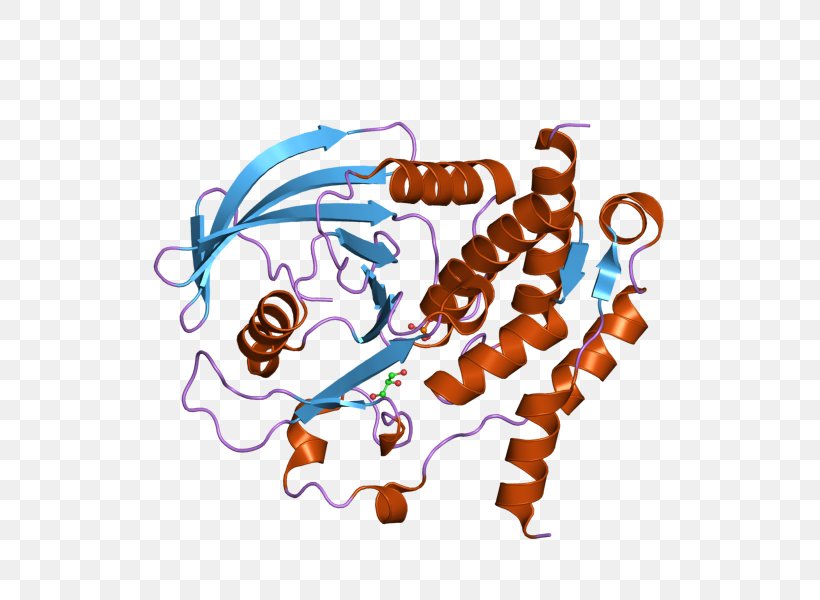 Protein Tyrosine Phosphatase Gene PTPN7, PNG, 800x600px, Protein Tyrosine Phosphatase, Art, Cartoon, Enzyme, Gene Download Free