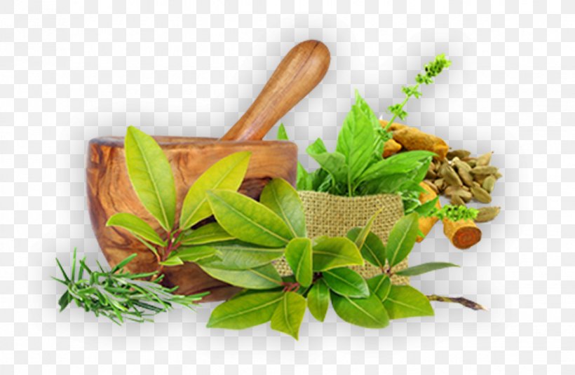 Ayurveda Herbalism Health Therapy, PNG, 1123x733px, Ayurveda, Alternative Health Services, Diet, Disease, Health Download Free