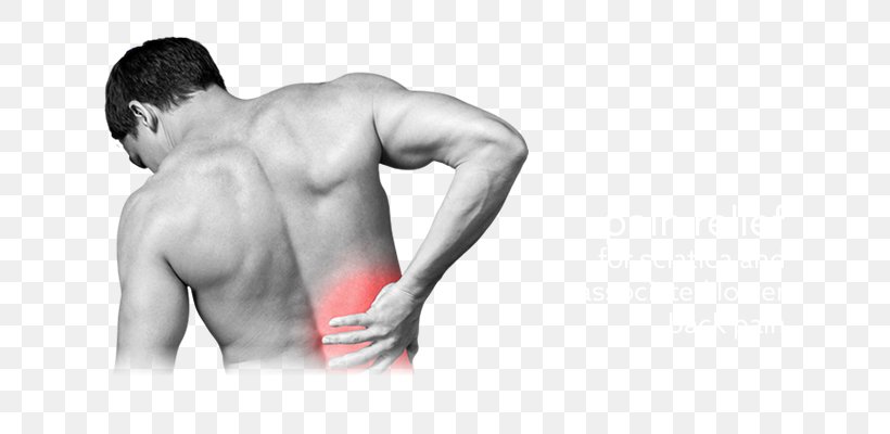 Back Pain Spinal Disc Herniation Abdominal Tenderness Rib Vertebral Column, PNG, 650x400px, Watercolor, Cartoon, Flower, Frame, Heart Download Free