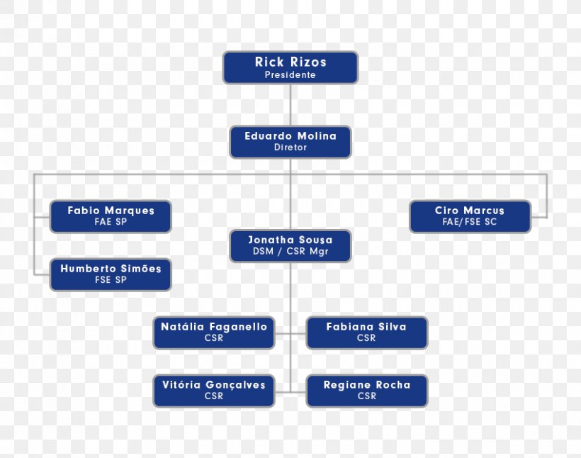 Ammon & Rizos Do Brasil Ltda Organizational Chart Alphaville, São Paulo, PNG, 850x670px, Organization, Ammon, Area, Brand, Brazil Download Free