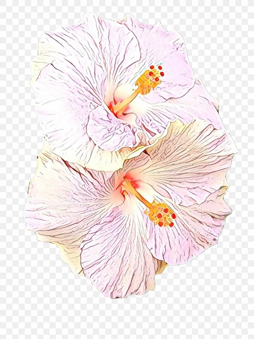 Hawaiian Hibiscus Hibiscus Flower Pink Chinese Hibiscus, PNG, 1535x2048px, Cartoon, Chinese Hibiscus, Flower, Flowering Plant, Hawaiian Hibiscus Download Free