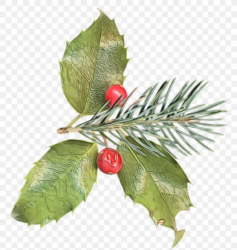 Holly, PNG, 1300x1374px, Christmas Holly, Branch, Christmas, Flower, Fruit Download Free
