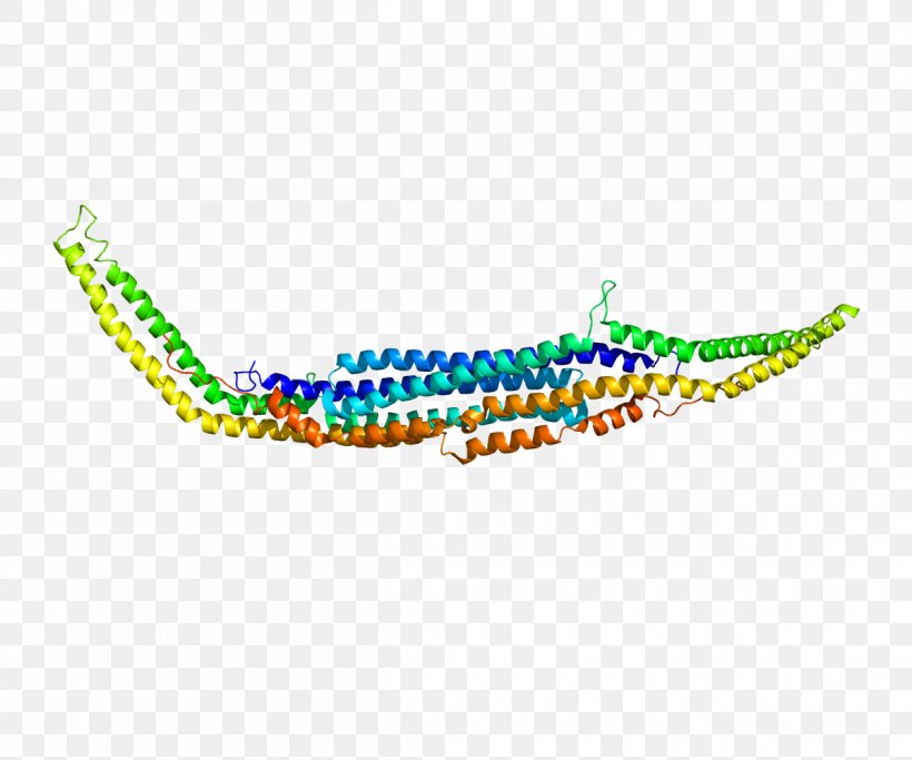 PACSIN1 PACSIN2 Protein Kinase Casein Kinase 2, PNG, 1200x1000px, Watercolor, Cartoon, Flower, Frame, Heart Download Free