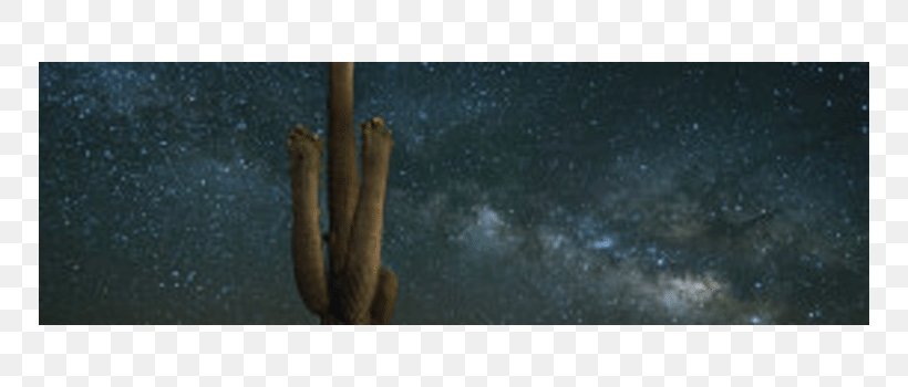 Saguaro Wood Cactaceae /m/083vt Raphoto, PNG, 750x350px, Saguaro, Cactaceae, Milky Way, Photographique, Poster Download Free