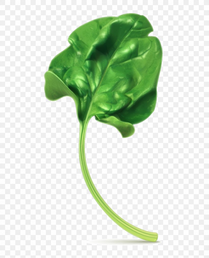 Spinach Vegetarian Cuisine Stock Photography Clip Art, PNG, 1099x1354px, Vegetarian Cuisine, Garnish, Green, Leaf, Leaf Vegetable Download Free