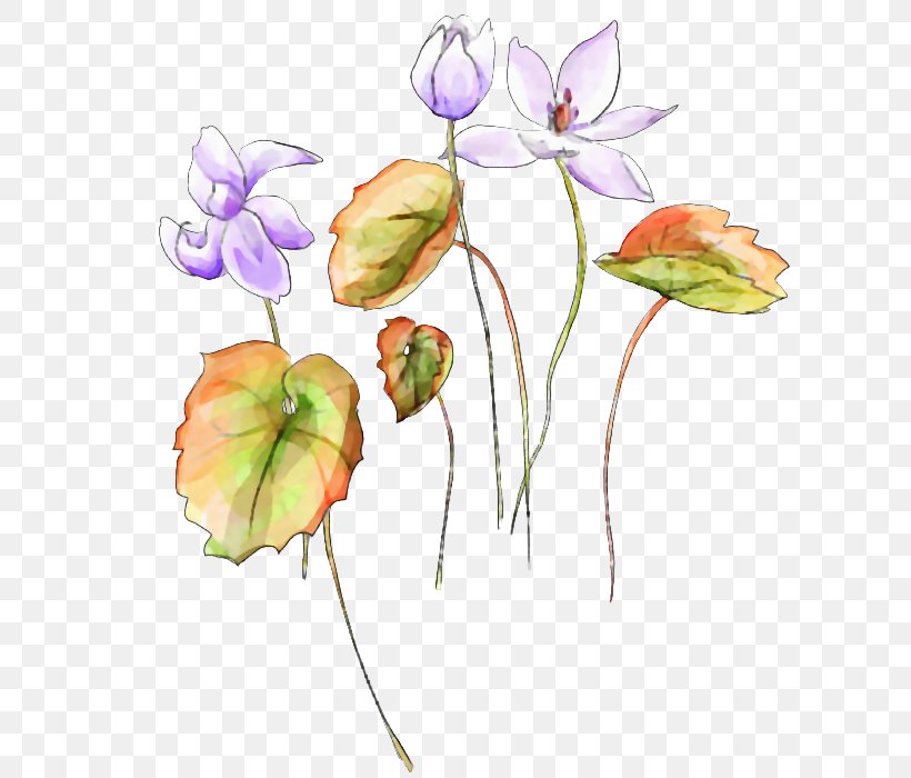 Watercolor Painting Watercolour Flowers, PNG, 624x700px, Watercolor Painting, Art, Bud, Chinoiserie, Cut Flowers Download Free
