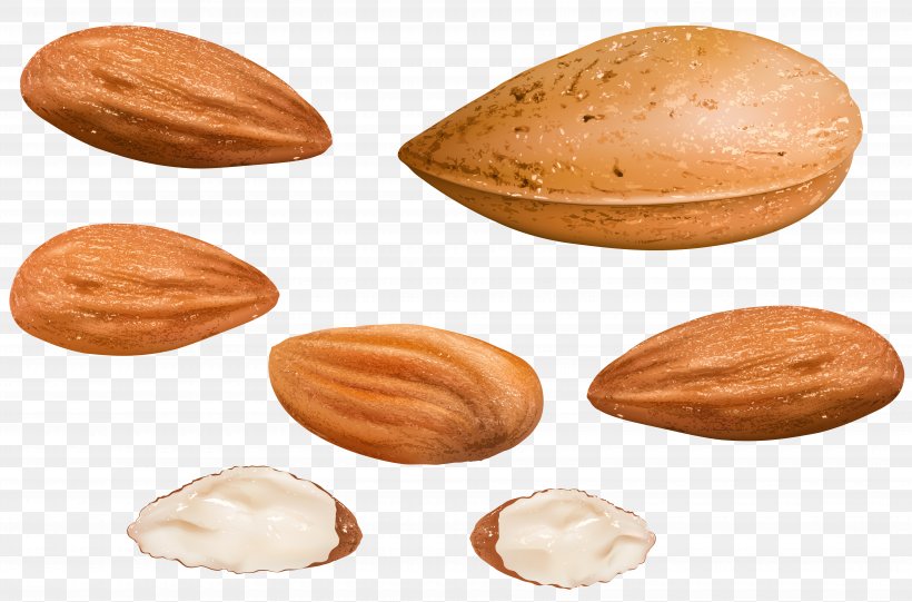 Almond Nucule Clip Art, PNG, 7480x4943px, Almond, Almond Milk, Almondy, Apricot Kernel, Blue Diamond Growers Download Free