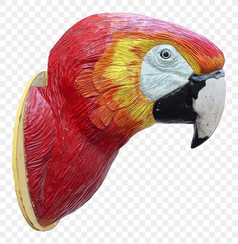 Bird Parrot, PNG, 2456x2524px, Macaw, Beak, Bird, Loriini, Parrot Download Free