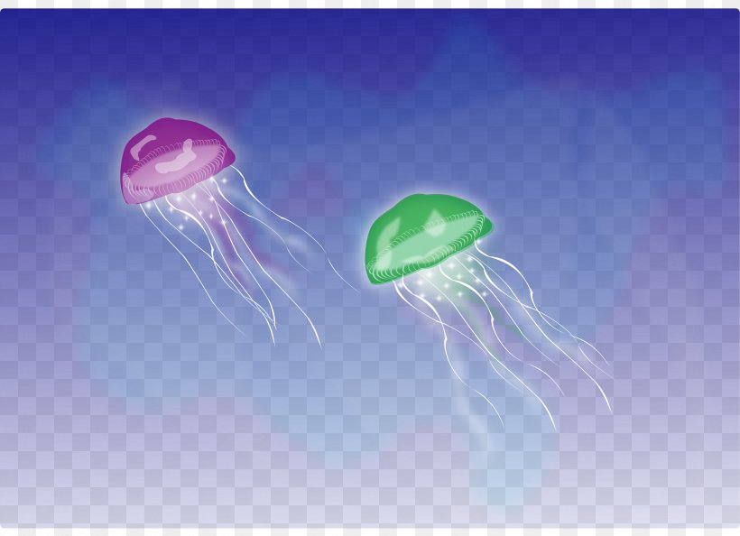 Blue Jellyfish Clip Art, PNG, 3311x2400px, Jellyfish, Aquatic Animal, Blue Jellyfish, Cnidaria, Energy Download Free