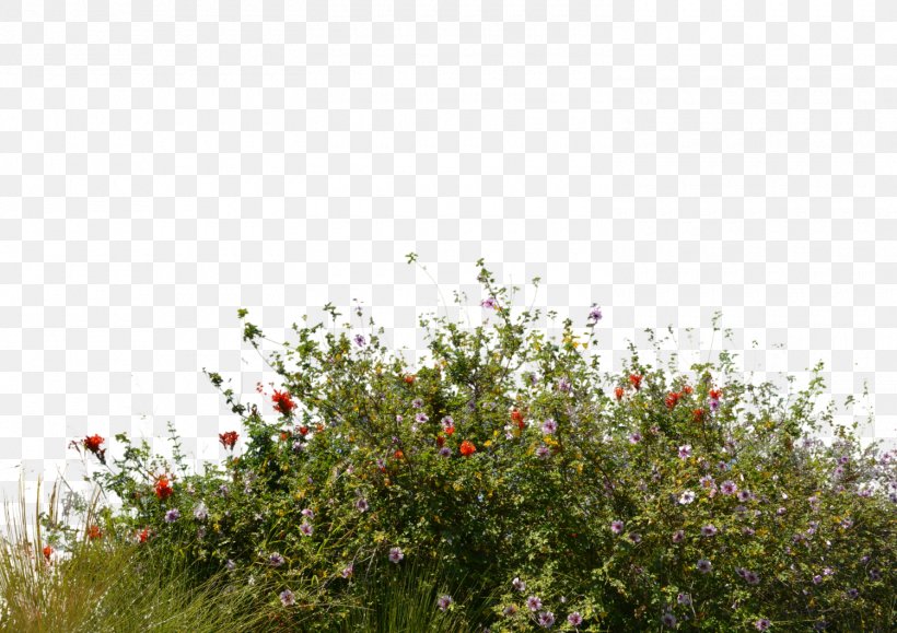 Flower Garden Lawn Tree, PNG, 1500x1060px, Flower, Artificial Flower, Blossom, Flora, Flower Garden Download Free