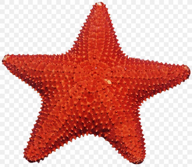 Starfish Marine Invertebrates Star, PNG, 958x833px, Starfish, Marine Invertebrates, Star Download Free