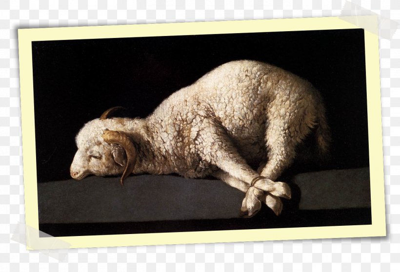 Bible Liturgy Westminster Confession Of Faith God The Lamb, PNG, 1408x960px, Bible, Anglicanism, Christianity, Fauna, God Download Free