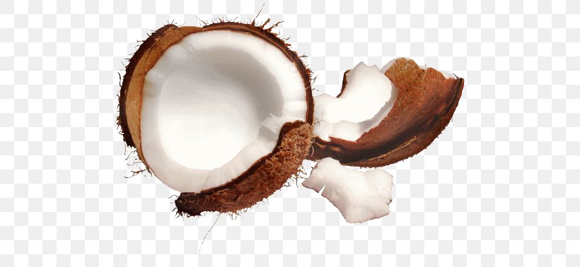 Desktop Wallpaper Coconut Milk High-definition Television Coconut Oil, PNG, 500x378px, Coconut Milk, Coconut, Coconut Oil, Computer, Cup Download Free