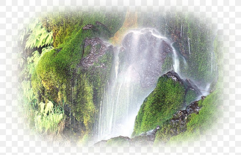 Elwha River Sol Duc Falls National Park Nature Story Olympic National Forest, PNG, 800x528px, Watercolor, Cartoon, Flower, Frame, Heart Download Free