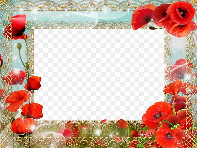 Flower Picture Frames, PNG, 1600x1200px, Flower, Bmp File Format, Coquelicot, Film Frame, Flora Download Free