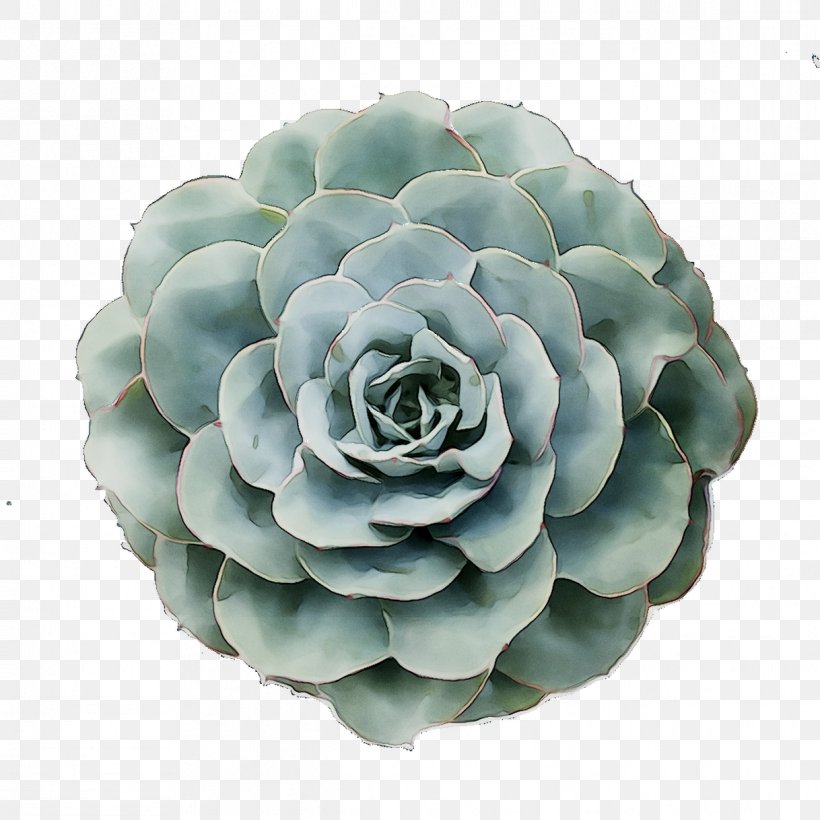Flower Turquoise, PNG, 1218x1218px, Flower, Agave, Echeveria, Perennial Plant, Petal Download Free