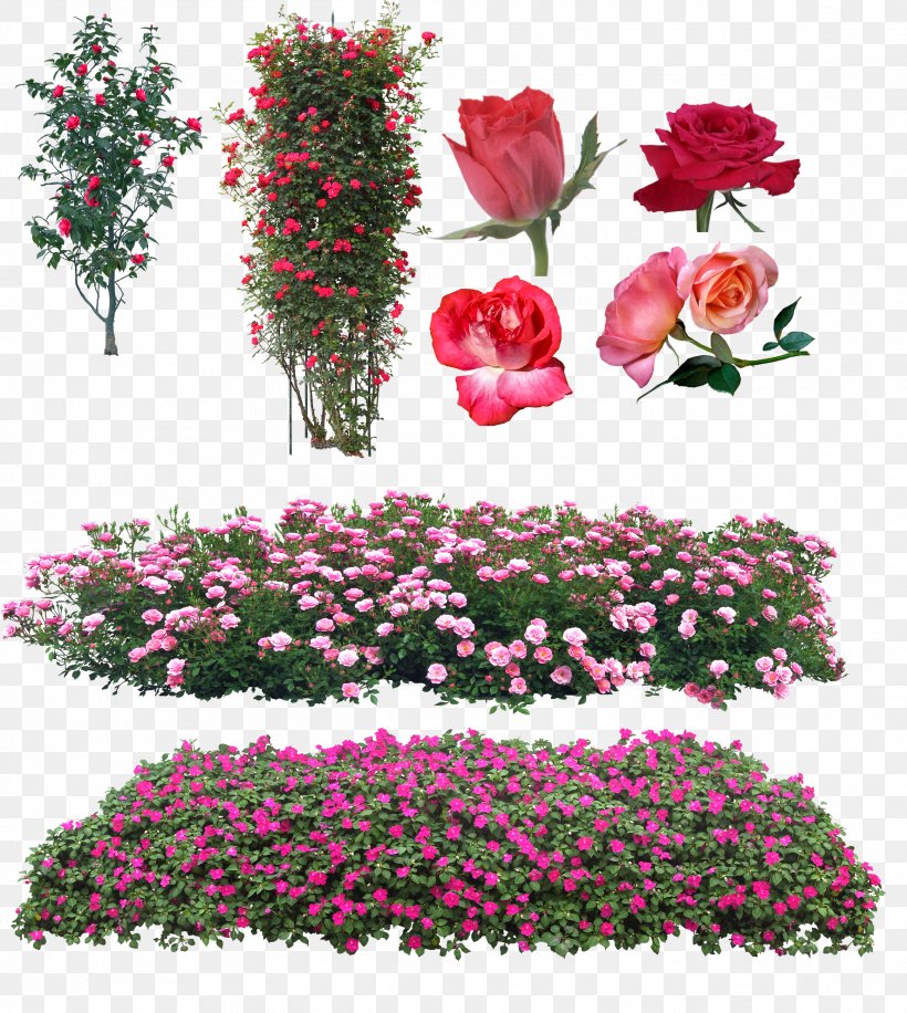 Garden Roses Floral Design Pink Flower, PNG, 2327x2600px, Rose, Annual Plant, Cut Flowers, Flora, Floral Design Download Free