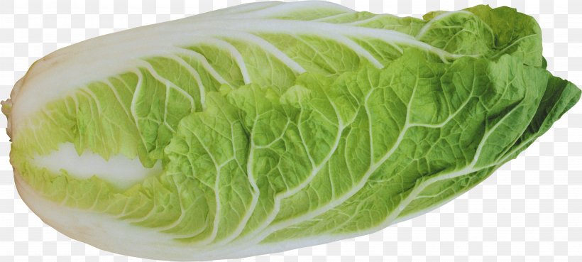 Lettuce Salad Vegetable, PNG, 3800x1710px, Iceberg Lettuce, Cabbage, Collard Greens, Cruciferous Vegetables, Food Download Free