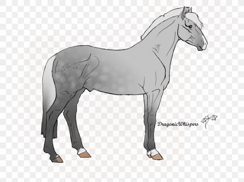 Mane Foal Mustang Bridle Stallion, PNG, 900x673px, Mane, Black And White, Bridle, Drawing, Foal Download Free