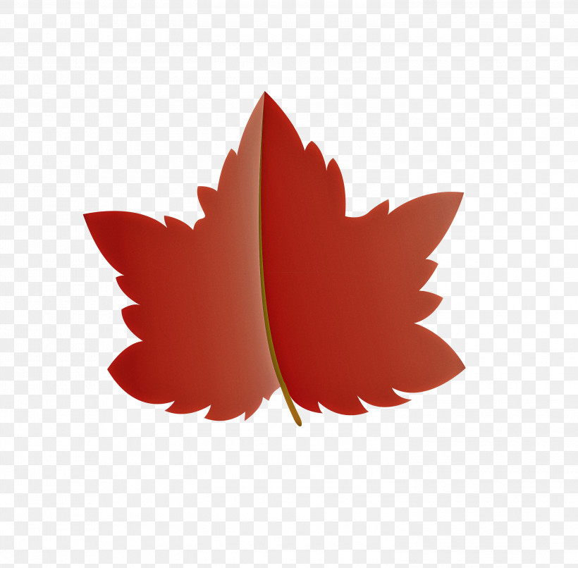 Maple Leaf, PNG, 3000x2949px, Autumn Leaf, Biology, Branch, Cartoon Leaf, Fall Leaf Download Free