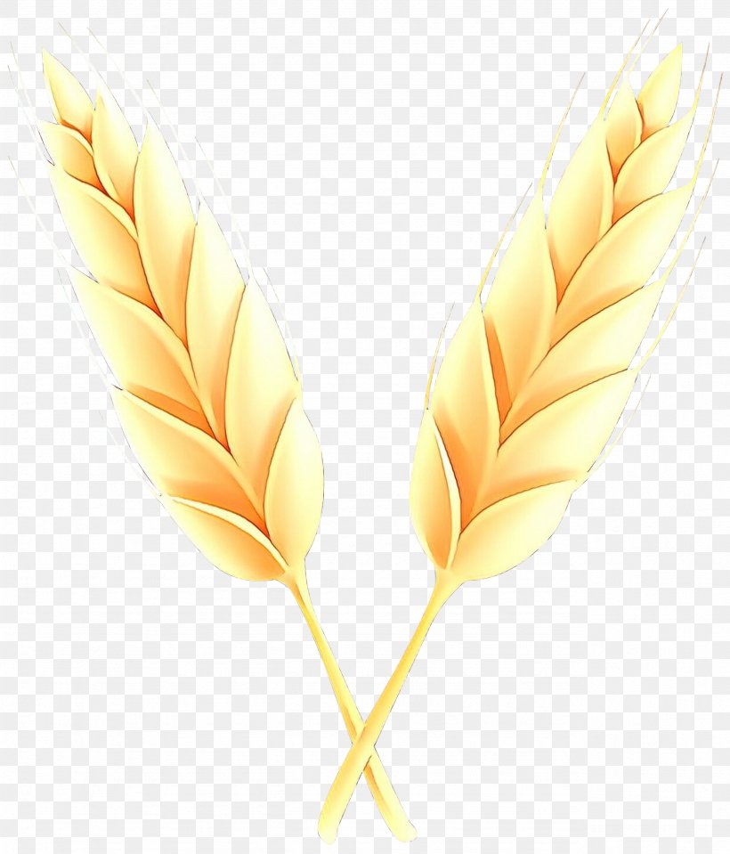 Commodity, PNG, 2564x3000px, Commodity, Feather, Grass Family, Leaf, Plant Download Free