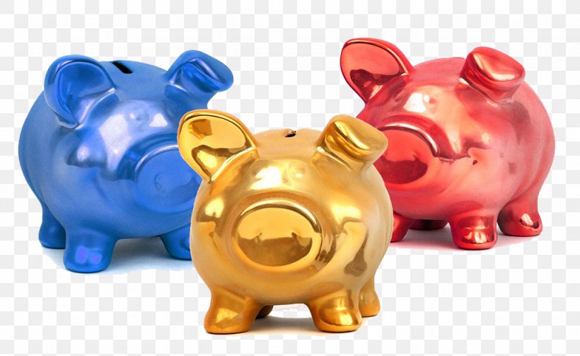 Piggy Bank Saving Money Domestic Pig, PNG, 1024x629px, Piggy Bank, Banco De Imagens, Bank, Cash, Coin Download Free