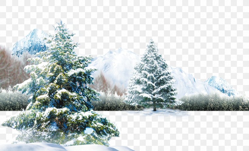 Polar Bear Winter Light Wallpaper, PNG, 866x525px, Polar Bear, Animal, Bear, Christmas, Christmas Decoration Download Free