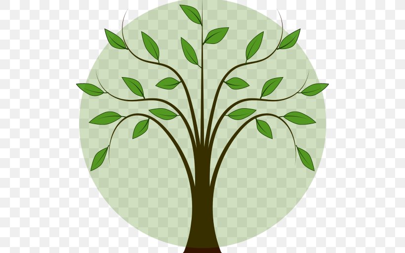 Tree Birch Clip Art, PNG, 512x512px, Tree, Birch, Branch, Drawing, Flora Download Free