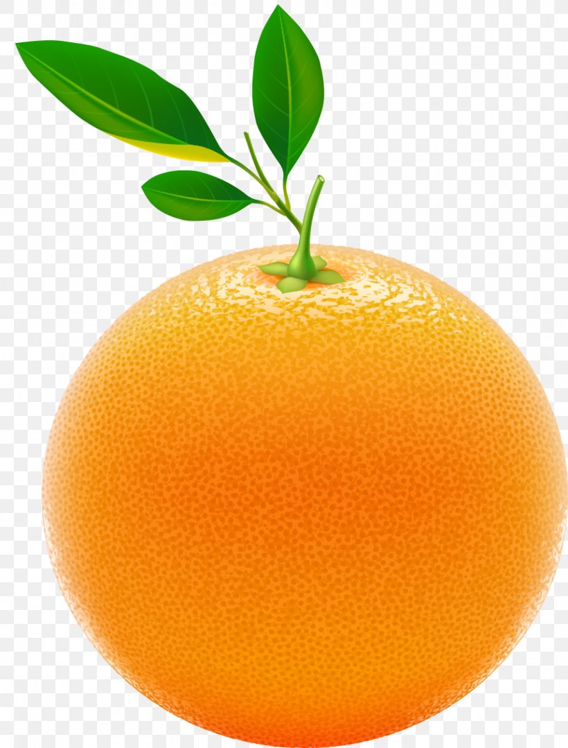 Juice Tangerine Chenpi Orange Citrus Junos, PNG, 860x1132px, Juice, Auglis, Bitter Orange, Blood Orange, Chenpi Download Free