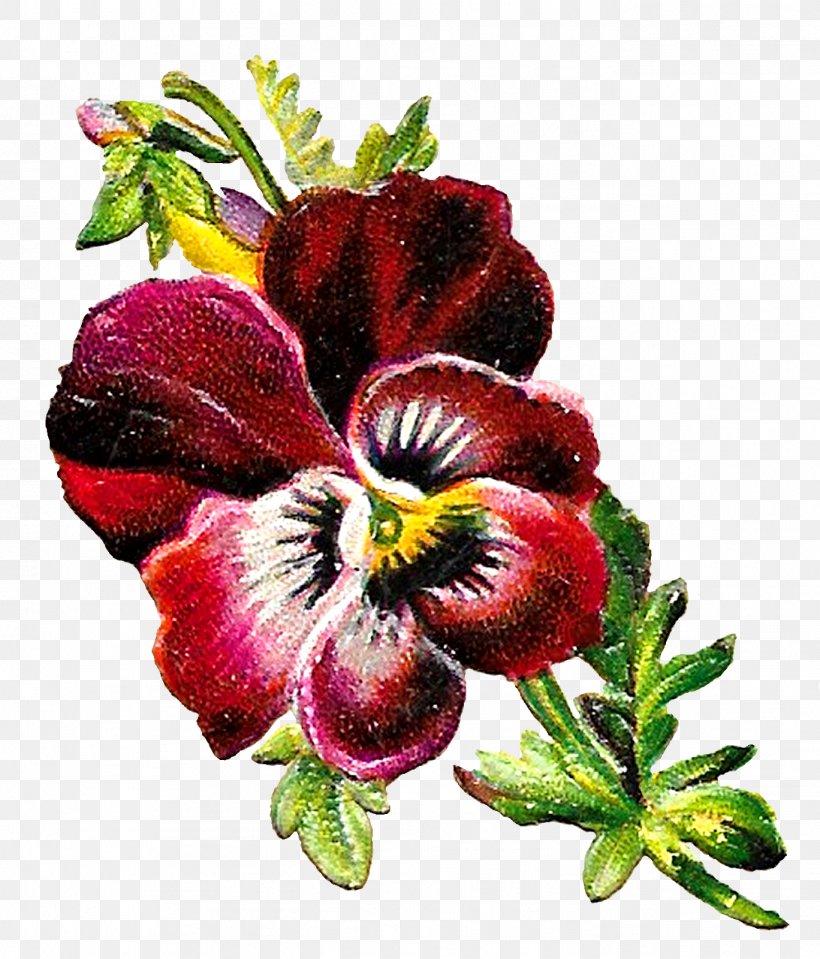 Pansy Flower Shades Of Purple Botany, PNG, 1368x1600px, Pansy, Botany, Floral Design, Flower, Flowering Plant Download Free
