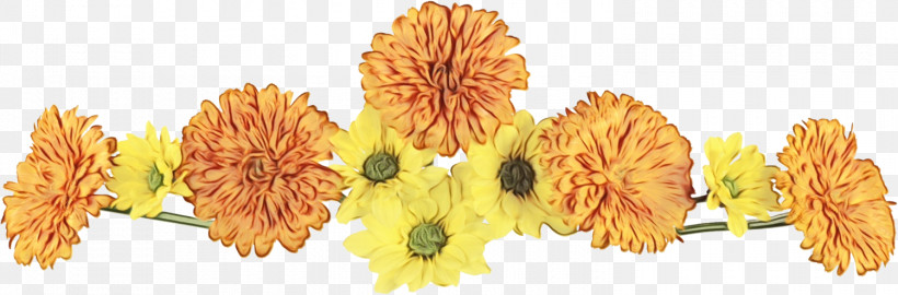 Sunflower, PNG, 1500x495px, Flower Border, Cut Flowers, Floral Line, Flower, Flower Background Download Free