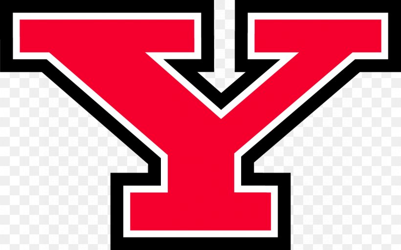 Youngstown State University Youngstown State Penguins Football Youngstown State Penguins Women's Basketball Beeghly Center Youngstown State Penguins Men's Basketball, PNG, 1174x734px, Youngstown State University, Area, Brand, College, College Football Download Free