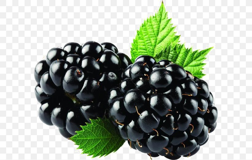 Fruit Cartoon, PNG, 599x521px, Blackberry, Accessory Fruit, Balsamic Vinegar, Berries, Berry Download Free