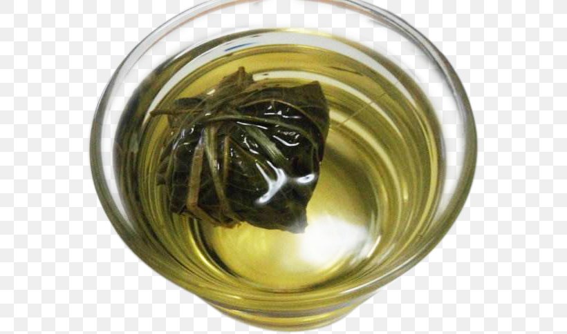 Green Tea Tea Bag, PNG, 569x484px, Tea, Bag, Designer, Drinking, Flavor Download Free