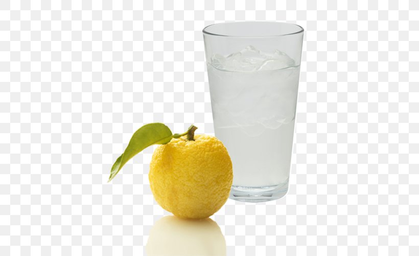 Lemon Juice Limeade Fermentation Starter Vodka Tonic Lemonade, PNG, 500x500px, Lemon Juice, Amazake, Citric Acid, Cocktail Garnish, Drink Download Free