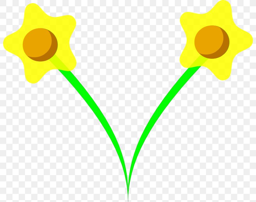 Yellow Angle Petal Clip Art, PNG, 800x646px, Yellow, Daffodil, Flower, Flowering Plant, Leaf Download Free