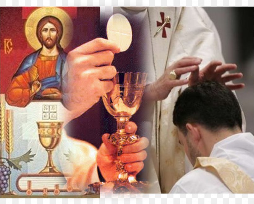 Holy Orders Priest Sacraments Of The Catholic Church Eucharist, PNG, 1490x1198px, Holy Orders, Catholic Church, Catholicism, Christ, Christian Church Download Free