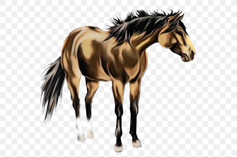 Horse Animal Figure Mane Mustang Horse Stallion, PNG, 550x544px, Watercolor, Animal Figure, Horse, Mane, Mare Download Free