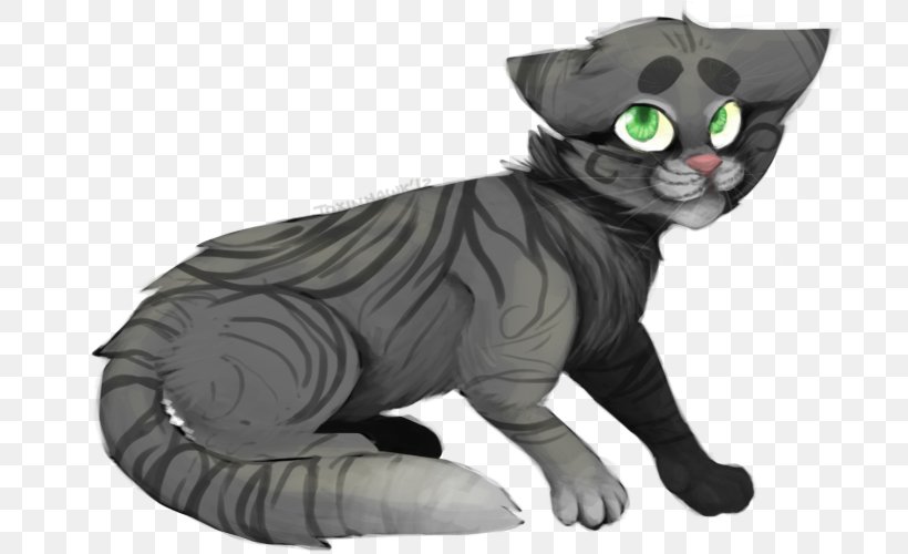 Korat Whiskers Kitten Domestic Short-haired Cat Tail, PNG, 800x500px, Korat, Carnivoran, Cat, Cat Like Mammal, Character Download Free