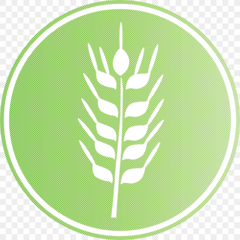 Oats Wheat Oats Logo, PNG, 3000x3000px, Oats, Biology, Grasses, Leaf, Logo Download Free