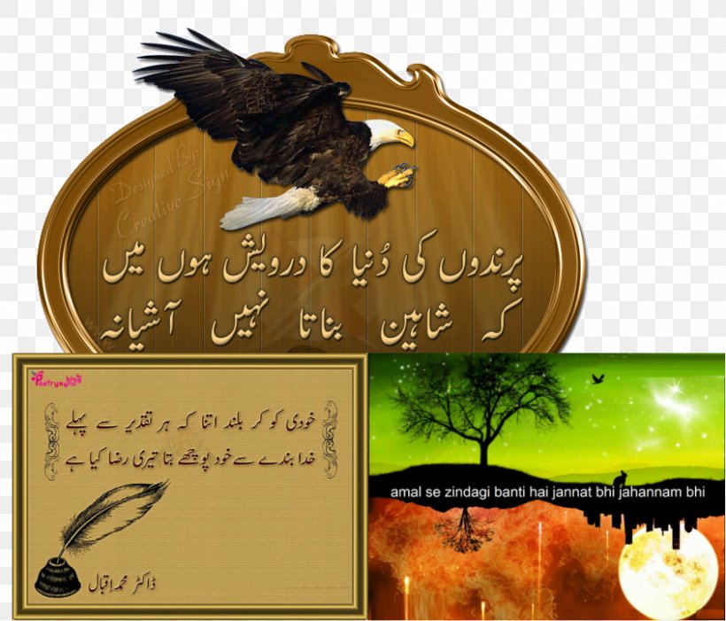 Shikwa And Jawab-e-Shikwa Urdu Poetry Pakistan, PNG, 845x723px, Shikwa And Jawabeshikwa, Ahmad Faraz, Brand, Fauna, Iqbal Day Download Free